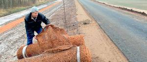 Rückzug. Deichrückverlegung bei Neuzelle. 32 Hektar wurden gewonnen.
