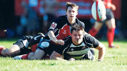Rugby in Potsdam. Wo wird das Lederei künftig fliegen?