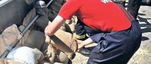Sicherungsarbeiten. Mitarbeiter der Freiwilligen Feuerwehr stapeln in Wittenberge (Sachsen-Anhalt) Sandsäcke zur Sicherung der Deichanlagen.