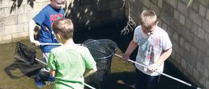 Volle Konzentration. Die Umweltgruppe bei der Froschsuche.