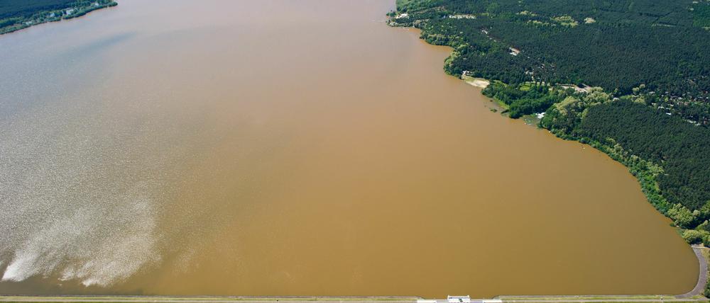 Das bräunliche Hochwasser der Spree am 5. Juni in der Spremberger Talsperre nahe Spremberg.