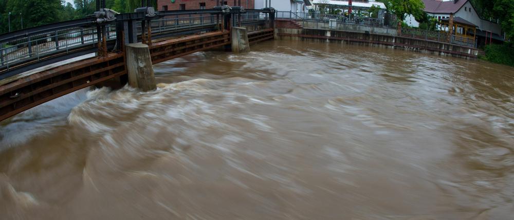 Schnell fließt das Hochwasser der Spree am 04.06.2013 an einem Wehr in Spremberg (Brandenburg). Die Flüsse in Brandenburg schwellen weiter an. Das Hochwasser aus Sachsen erreichte vor allem die Schwarze Elster und die Spree. Der höchste Wasserstand wird allerdings erst für den 5.Juni erwartet.