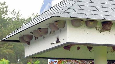 Alternatives Wohnen. Das Schwalbenhotel am Golfplatz Kemnitz.
