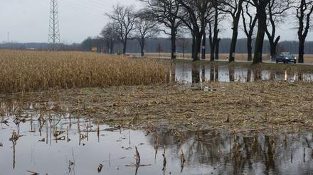 Die starken Regenfälle haben eine erste Hochwasserwarnung für den Spree-Nebenfluss Dahme zur Folge.