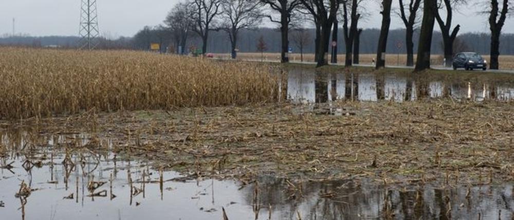 Die starken Regenfälle haben eine erste Hochwasserwarnung für den Spree-Nebenfluss Dahme zur Folge.
