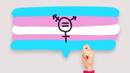 Die Transgender Flagge (Symbolbild).