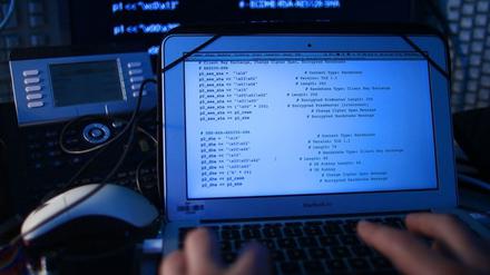 Ein Sicherheitssystem, das mehrere Zehntausend Schwachstellen registriert: Das ist die Innovation, die das Potsdamer Hasso Plattner-Institut demnächst vorstellen will.