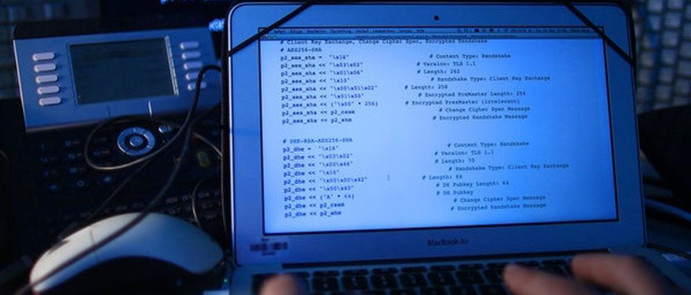 Ein Sicherheitssystem, das mehrere Zehntausend Schwachstellen registriert: Das ist die Innovation, die das Potsdamer Hasso Plattner-Institut demnächst vorstellen will.