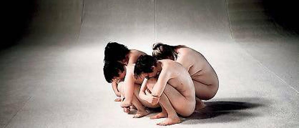 Sinnlicher Dialog. Die Performance „In human disguise“.