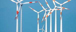 Perspektiven. Wo einst das Abwasser der Großstadt Berlin versickerte, sollen sich im Süden des Teltower Ortsteils Ruhlsdorf schon bald die ersten fünf bis zu 175 Meter hohe Windräder drehen.