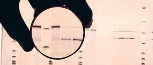 Im Labor liegen geblieben. Viele DNA-Spuren von möglichen Tätern werden nicht untersucht – und Straftaten deshalb möglicherweise nicht aufgeklärt. -