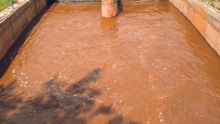 Reinigungsaktion. Damit die rötlich-braune Spree sauberer wird, ist bei Vetschau (Oberspreewald-Lausitz) eine alte Grubenwasser-Reinigungsanlage wieder in Betrieb genommen worden. Sie soll das aus alten Braunkohlegruben abfließende Wasser säubern.