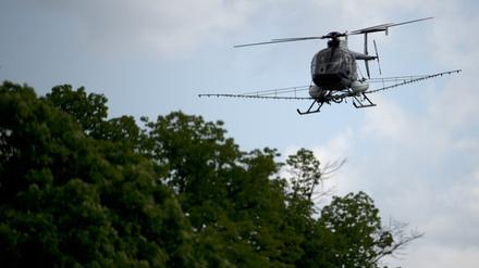 Am Donnerstag wird in Potsdam-Mittelmark wieder aus der Luft gegen den Eichenprozessionsspiner gesprüht.