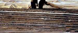 Sie kommen von weit her, um den deutschen Spargel zu stechen, oft auch aus Polen. Jetzt kam es in Kremmen zu einem unfassbaren Vorfall: Drei Erntehelfer wurden von Kremmener Anwohnern zu unrecht des Diebstahls verdächtigt, verprügelt und gefesselt.