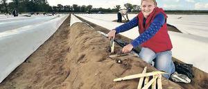 Seit neun Jahren ist Katarzyna Iwan bei der Ernte dabei.