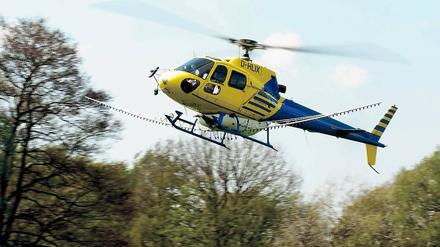 Einsatz in der Not. Die Plage des Eichenprozessionsspinners droht sich auch auf andere Laubbäume auszuweiten.