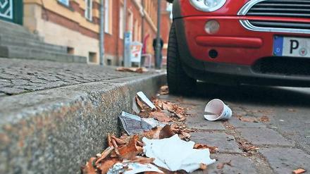 Unerwünschter Unrat. Wo Menschen leben, gibt es auch Abfall. Vor dem eigenen Grundstück muss der Hauseigentümer für Ordnung sorgen, auch wenn der Unrat nicht selbst verursacht ist. Die Stadt reinigt nur öffentliche Grünanlagen.