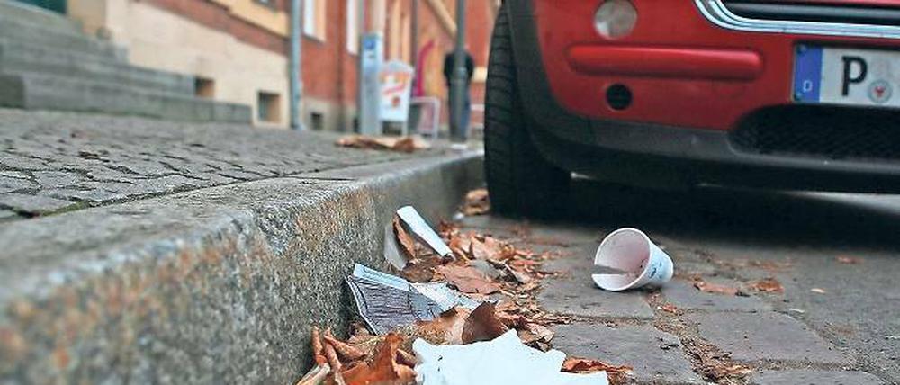 Unerwünschter Unrat. Wo Menschen leben, gibt es auch Abfall. Vor dem eigenen Grundstück muss der Hauseigentümer für Ordnung sorgen, auch wenn der Unrat nicht selbst verursacht ist. Die Stadt reinigt nur öffentliche Grünanlagen.