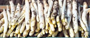 Besser. Der Beelitzer Spargel kann gegen peruanischen bestehen.