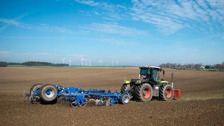 Großen Brandenburger Landwirten drohen Einbußen - oder werden die kleinen nur nicht länger benachteiligt?