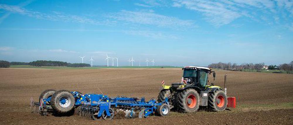 Großen Brandenburger Landwirten drohen Einbußen - oder werden die kleinen nur nicht länger benachteiligt?