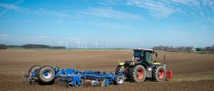 Großen Brandenburger Landwirten drohen Einbußen - oder werden die kleinen nur nicht länger benachteiligt?