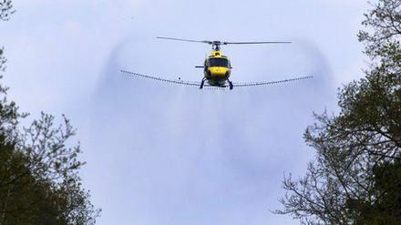 Über den Potsdamer Parks wird gesprüht: Anders kann die Schlösserstiftung dem Eichenprozessionsspinner nicht Herr werden, heißt es.
