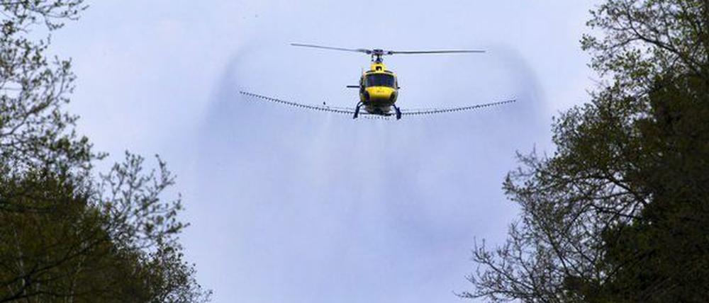 Über den Potsdamer Parks wird gesprüht: Anders kann die Schlösserstiftung dem Eichenprozessionsspinner nicht Herr werden, heißt es.