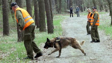 Trotz intensiver Suche konnte die Polizei den Kopf des Toten, der in einem Waldstück bei Treuenbrietzen gefunden wurde, nicht finden.