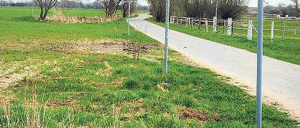 Glatt gemacht. Schön eben und abseits der Straßen führt der Radweg auf dem einstigen Bahndamm entlang.