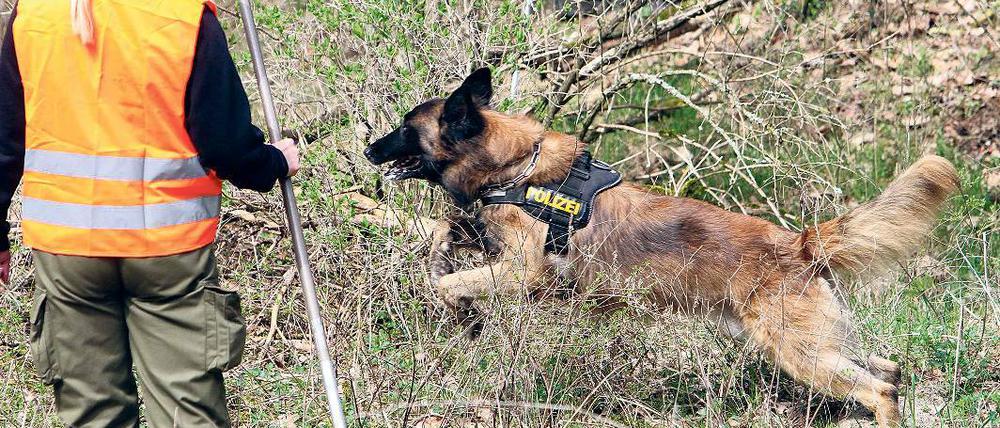 Suchaktion: Auch mehrere Fährtenhunde waren im im Einsatz.