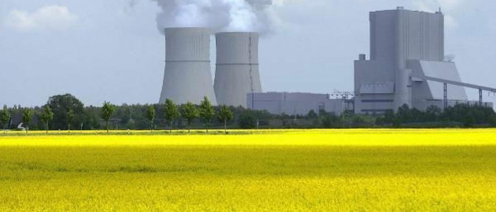 Blühende Landschaft - oder Industrieland? Ministerpräsident Platzeck warf einen Blick in die Zukunft.