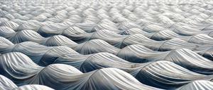 Warm gehalten. Unter der Folie soll der Spargel, wie hier vom Agrarbetrieb Buschmann und Winkelmann, in die Höhe schießen. Doch selbst wenn die ersten Stangen wirklich gefunden werden, können angesichts des gerade erst beendeten Winters zunächst nur symbolische Mengen geerntet werden. Die Mitglieder der Köchevereinigung „Brandenburg unter Dampf“ kritisieren deshalb die heutige Eröffnung der Spargelsaison.