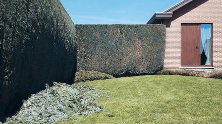 Verschanzt. Herman van den Boom wagt einen Blick hinter die Hecken.