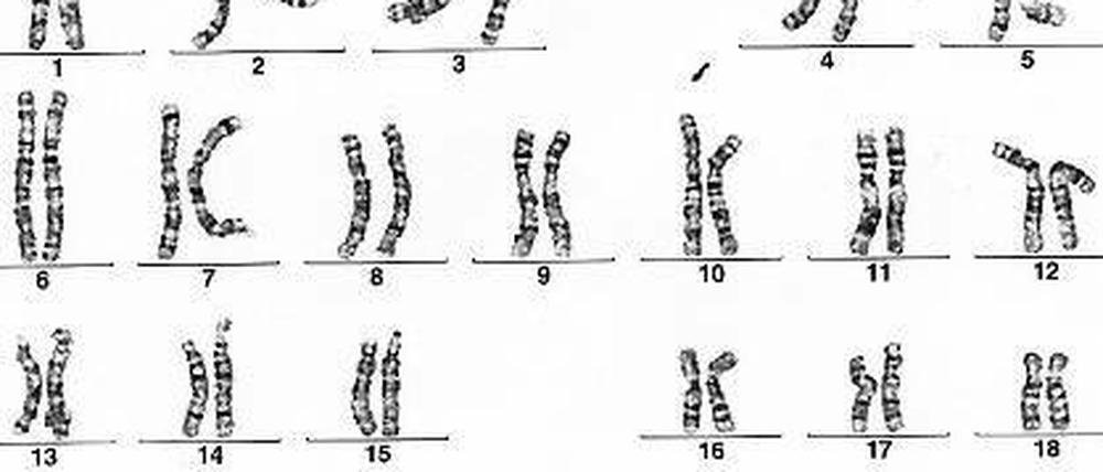 Umfangreicher Datensatz. Die Gene sind wie ein großes Buch.