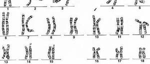 Umfangreicher Datensatz. Die Gene sind wie ein großes Buch.