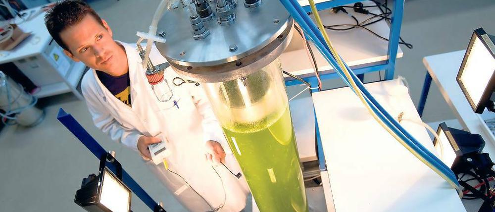 Absaugen. Energiegewinnung mit Biomasse zieht CO2 aus der Luft.