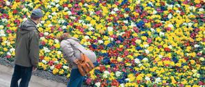 Da blüht uns was. Bis kurz vor dem Startschuss haben bis zu 200 Mitarbeiter das 14 Hektar große Areal in Form gebracht.