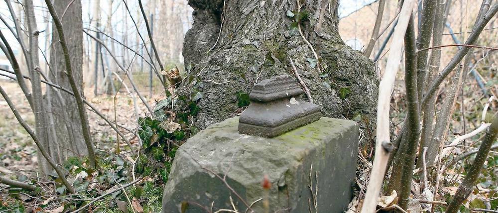 Vergessener Ort. Aufmerksame Spaziergänger finden in dem Waldstück nahe der Auffahrt Babelsberg zur Nutheschnellstraße Überreste des früheren Friedhofs des Militärwaisenhauses. Der 1727 eingerichtete Friedhof war noch bis 1952 in Gebrauch. Begraben wurden hier nicht nur Waisenkinder, sondern auch Angestellte des Waisenhauses.