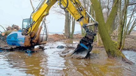 Schlamm-Bagger. Ein Spreezufluss wird vom Eisenocker befreit.