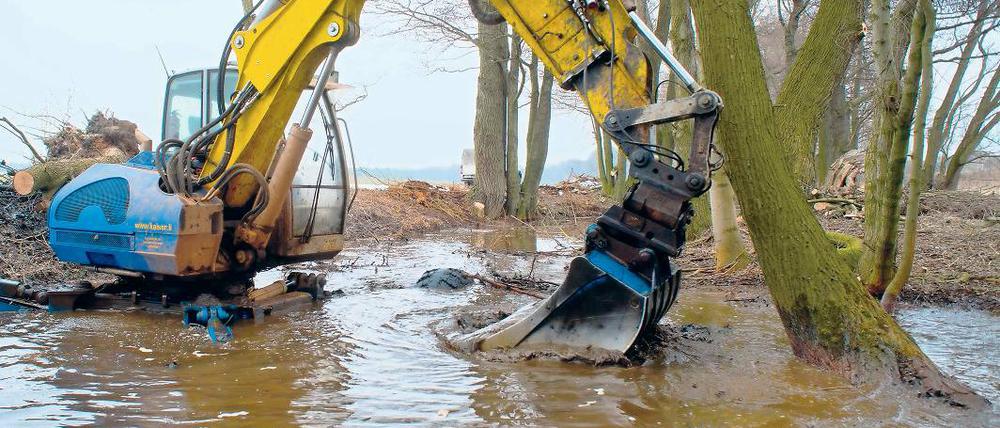Schlamm-Bagger. Ein Spreezufluss wird vom Eisenocker befreit.
