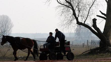 Allein auf weiter Flur? Brandenburgs Regierung vernachlässigt die Fläche des Landes, kritisiert der Bauernbund.