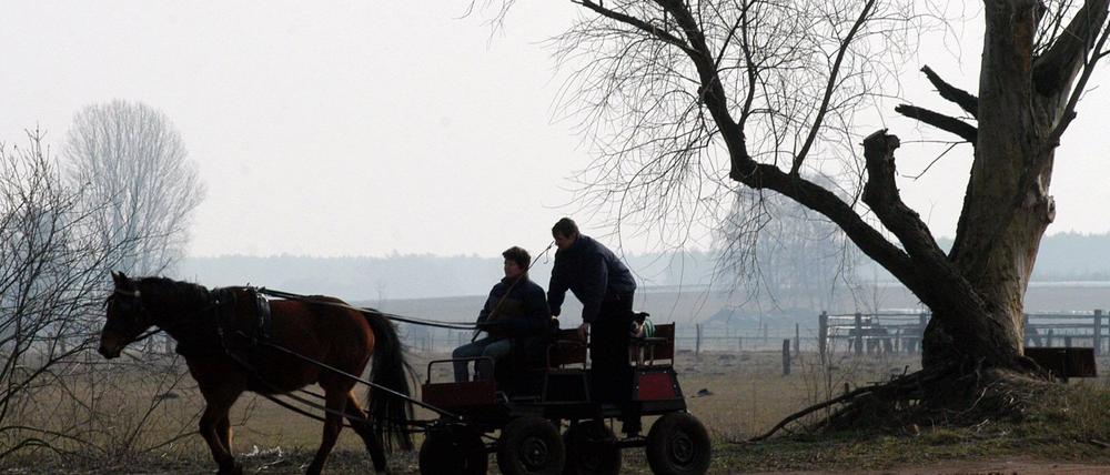 Allein auf weiter Flur? Brandenburgs Regierung vernachlässigt die Fläche des Landes, kritisiert der Bauernbund.