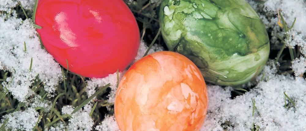 Gut gekühlt ist halb gewonnen. Garantiert frische Eier für’s Osterfest.