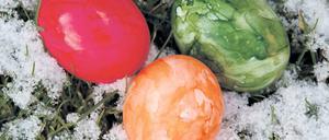 Gut gekühlt ist halb gewonnen. Garantiert frische Eier für’s Osterfest.