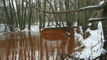 Rostbrauner Mühlenfließ: Die so genannte Verockerung entsteht, wenn in stillgelegten Tagebauen und Kippen Schwelkies verwittert.