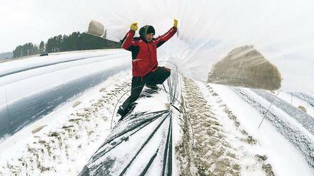 Noch liegt Schnee. Einige Wochen vor dem Erntebeginn werden Thermofolien über die Spargeldämme gespannt und sorgen für eine schnellere Erwärmung des Bodens.