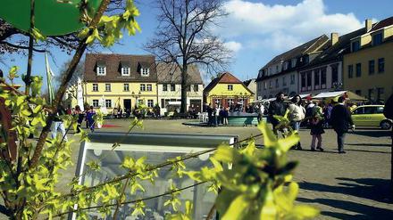 Bald auch offiziell? Ohnehin ist Werder als Blütenstadt längst bekannt.