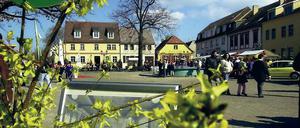 Bald auch offiziell? Ohnehin ist Werder als Blütenstadt längst bekannt.