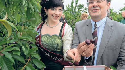 Erntestart 2012. Minister Vogelsänger mit der Kirschkönigin auf dem Obstplan.